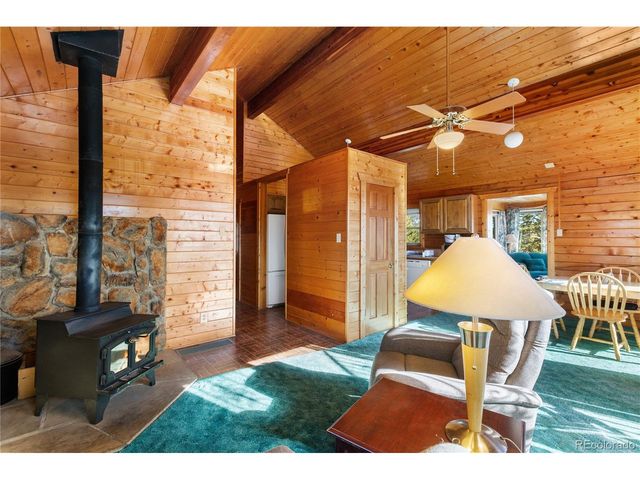 730 Cheyenne Creek, Lake George, CO 80827