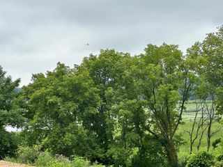 TBD County Road 43, Laketown Twp, MN 55318