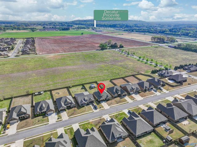 146 Willow Bank Circle, Decatur, AL 35603