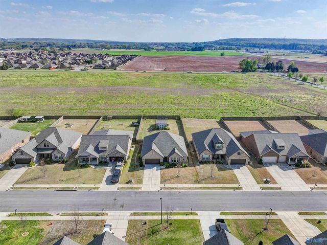 146 Willow Bank Circle, Decatur, AL 35603