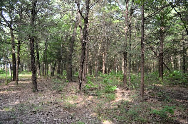 0 County Road 2404, Tool, TX 75143