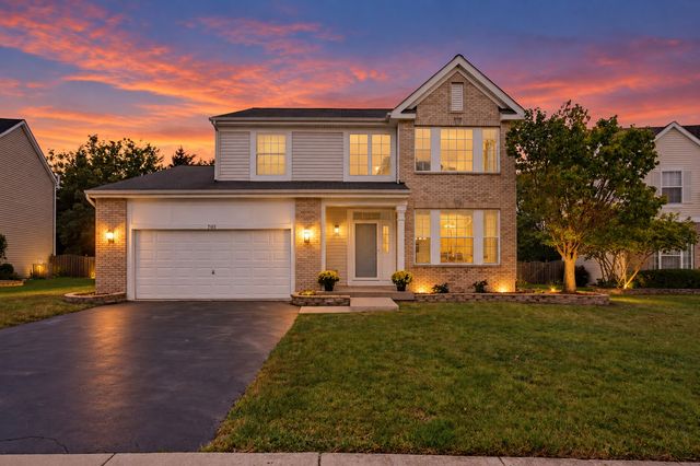 705 Silver Leaf Drive, Joliet, IL 60431