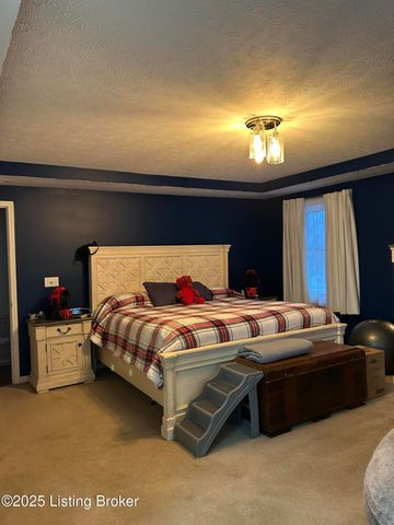 238 Pinnacle Dr, Brandenburg, KY 40108