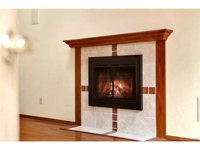 10805 W Alamo Pl, Littleton, CO 80127