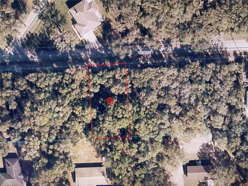 16604 SE 59TH STREET, Ocklawaha, FL 32179