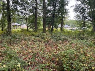 0 Dauphin Island Parkway, Theodore, AL 36582