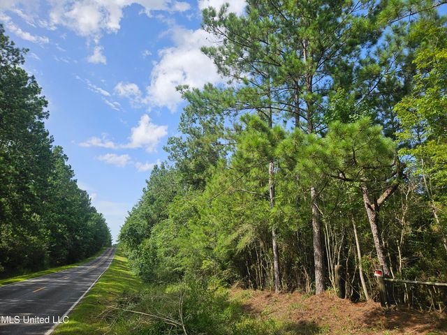 23150 Tally Shaw Road, Perkinston, MS 39573