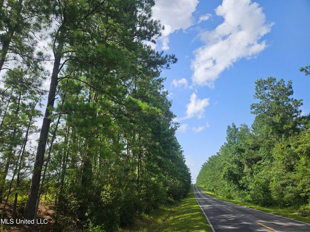 23150 Tally Shaw Road, Perkinston, MS 39573