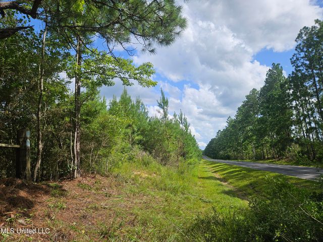 23150 Tally Shaw Road, Perkinston, MS 39573