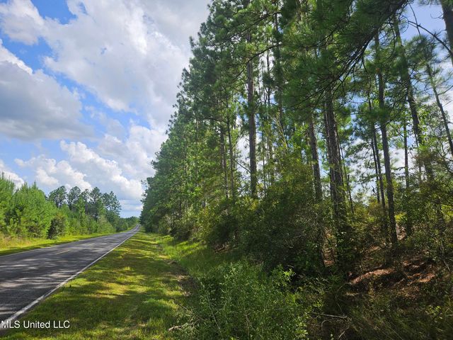 23150 Tally Shaw Road, Perkinston, MS 39573