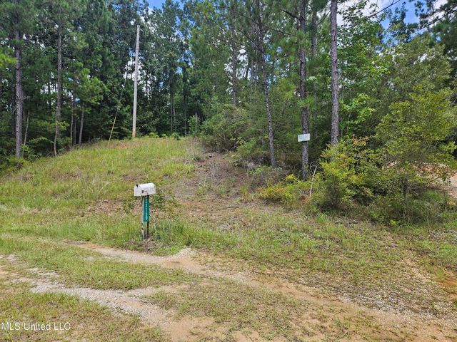 23150 Tally Shaw Road, Perkinston, MS 39573