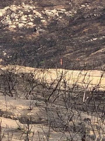 Bunny Dr. Sec 23-16-2E Swq Seq Of, Jamul, CA 91935