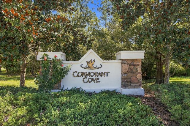 21444 CORMORANT COVE DRIVE, Land O Lakes, FL 34637