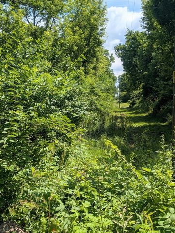 5900 Springbrook Road, Horton, MI 49246