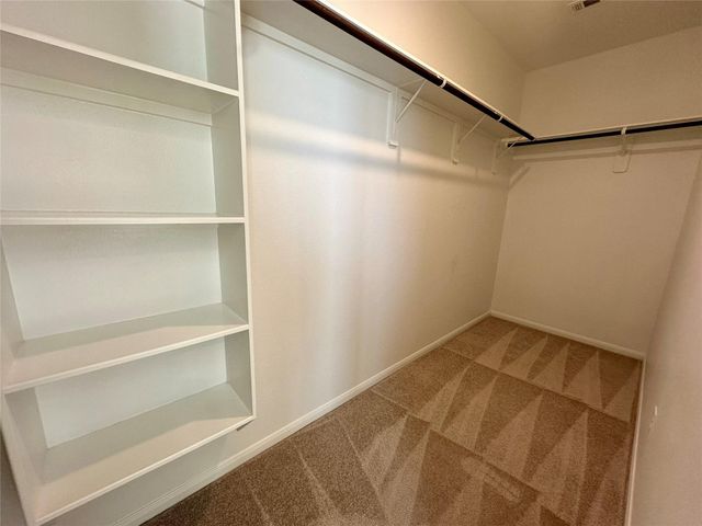 17902 Sunny Savanna Drive, Hockley, TX 77447