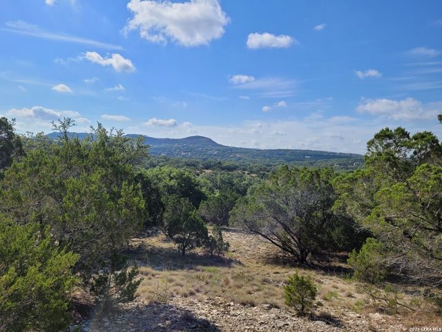 118 BOBBY CLARK DR, Canyon Lake, TX 78133