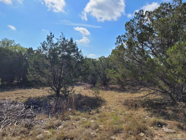 118 BOBBY CLARK DR, Canyon Lake, TX 78133