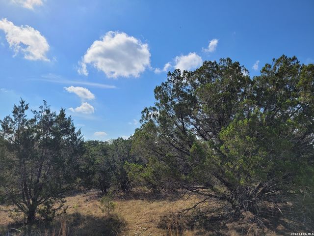 118 BOBBY CLARK DR, Canyon Lake, TX 78133