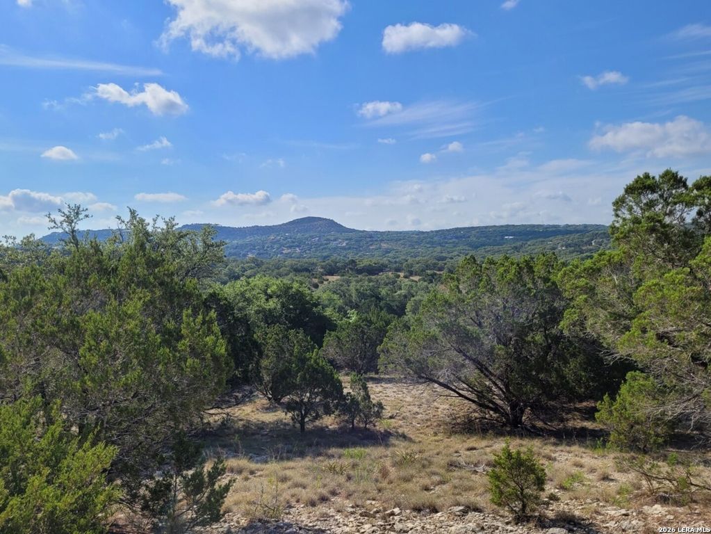118 BOBBY CLARK DR, Canyon Lake, TX 78133