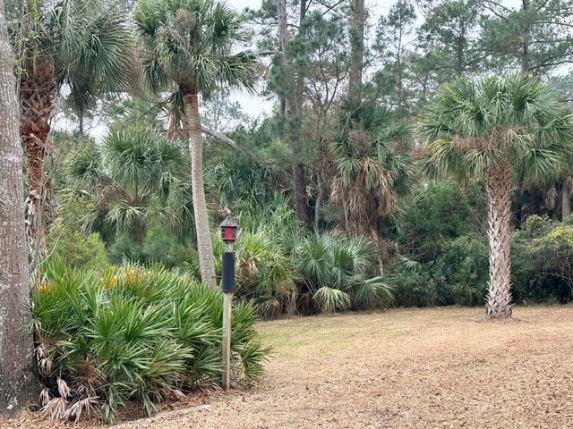 8970 Palmetto Road, Edisto Island, SC 29438