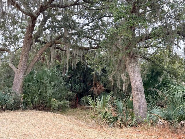 8970 Palmetto Road, Edisto Island, SC 29438