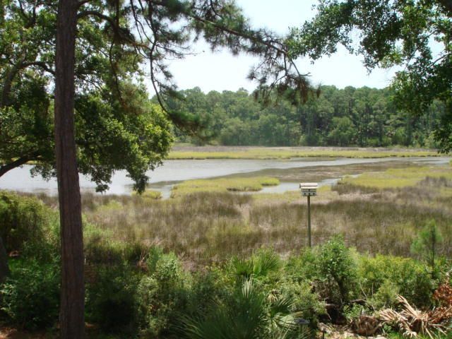 8970 Palmetto Road, Edisto Island, SC 29438