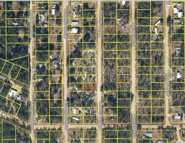 MALTAS AVENUE, Interlachen, FL 32148