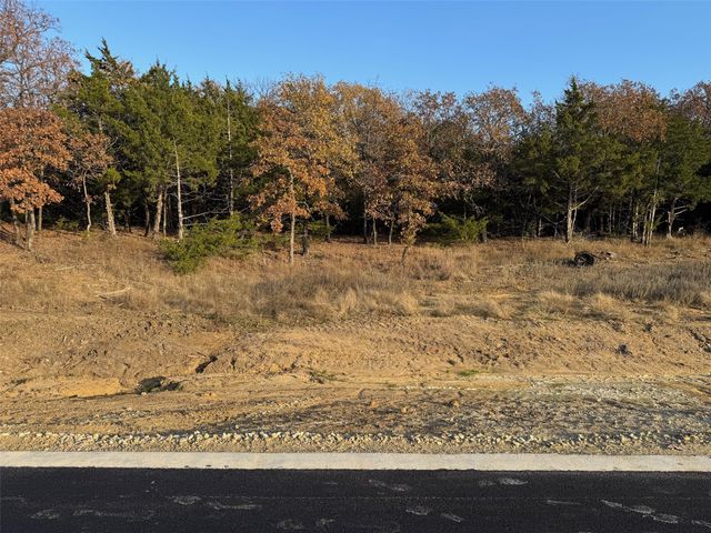 Lot 15B Forest Lakes Drive, Gordonville, TX 76245