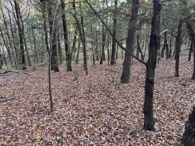 Lot 15B Forest Lakes Drive, Gordonville, TX 76245