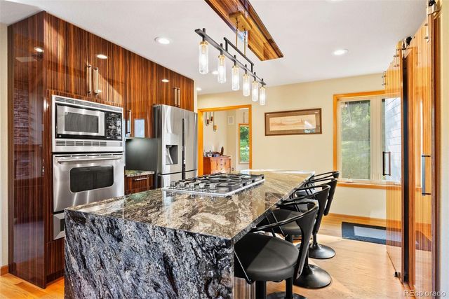 9948 S Turkey Creek Road, Morrison, CO 80465