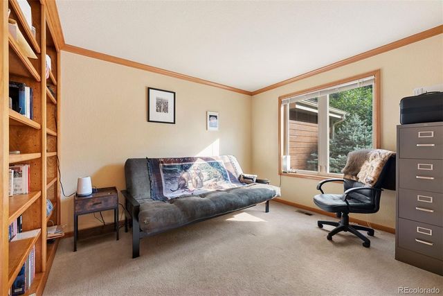 9948 S Turkey Creek Road, Morrison, CO 80465