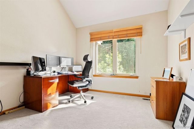 9948 S Turkey Creek Road, Morrison, CO 80465