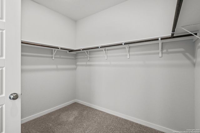 7843 Coffee Mill, San Antonio, TX 78252