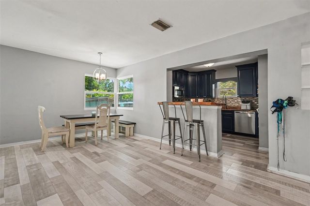 1509 W BARR DRIVE, Tampa, FL 33603