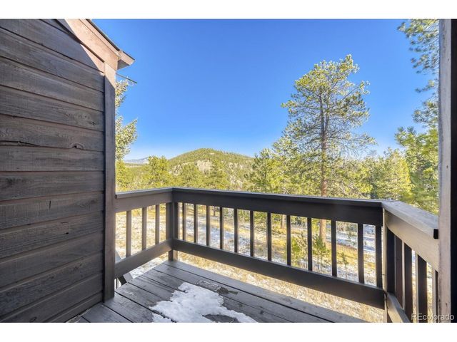 11 Old Corral Rd, Bailey, CO 80421