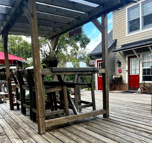 908 N CLAYTON STREET, Mount Dora, FL 32757