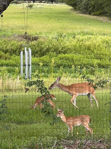 127 A Crump AKA Hwy 19 Lane, Sulphur Springs, TX 75482