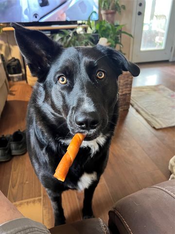 127 A Crump AKA Hwy 19 Lane, Sulphur Springs, TX 75482