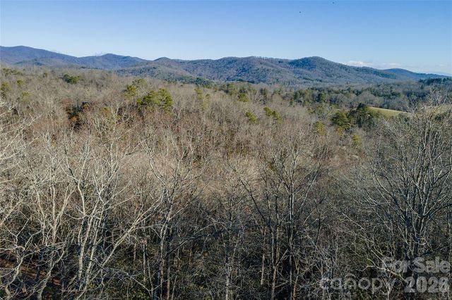 80 Buckhead Trail 27, Horse Shoe, NC 28742