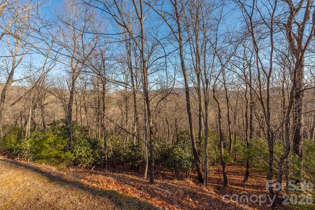 80 Buckhead Trail 27, Horse Shoe, NC 28742