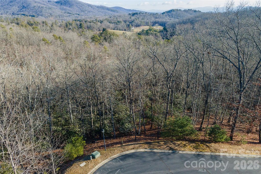 80 Buckhead Trail 27, Horse Shoe, NC 28742