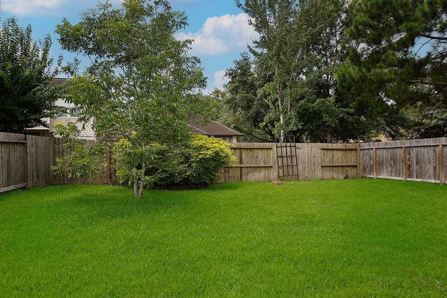 19 Patina Pines Place, The Woodlands, TX 77381