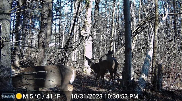 1200 Alexander Road, Delanson, NY 12053