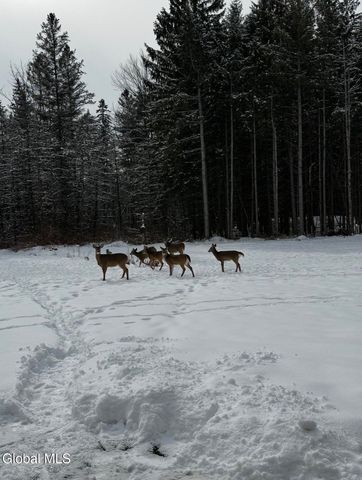 1200 Alexander Road, Delanson, NY 12053