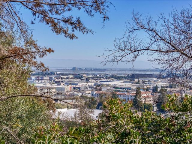 917 Holly Road, Belmont, CA 94002