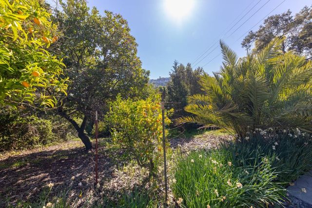 917 Holly Road, Belmont, CA 94002