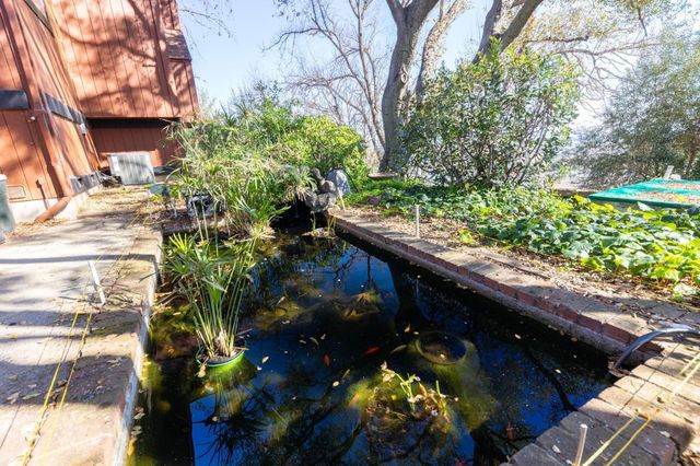 917 Holly Road, Belmont, CA 94002