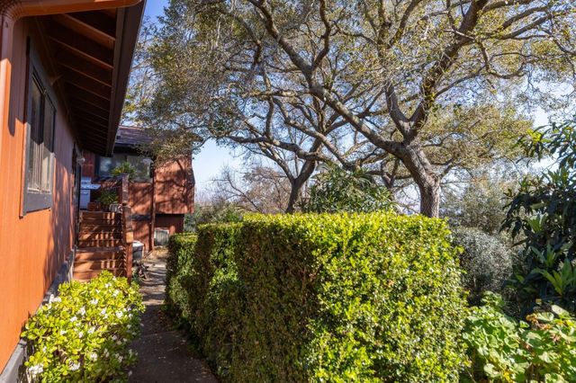 917 Holly Road, Belmont, CA 94002