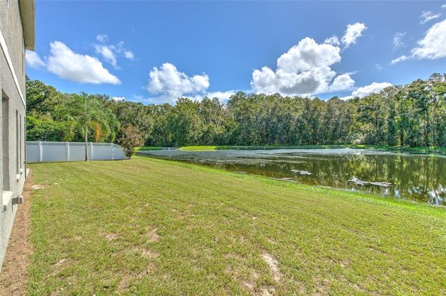 4752 PATAGONIA PLACE, Land O Lakes, FL 34638