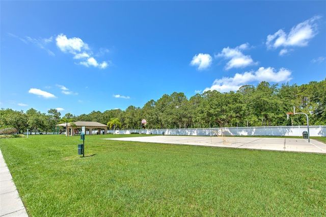 4752 PATAGONIA PLACE, Land O Lakes, FL 34638